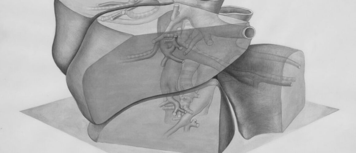 Rysowanie postaci ludzkiej - anatomia dla artysty.