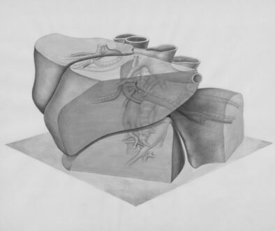 Rysowanie postaci ludzkiej - anatomia dla artysty.